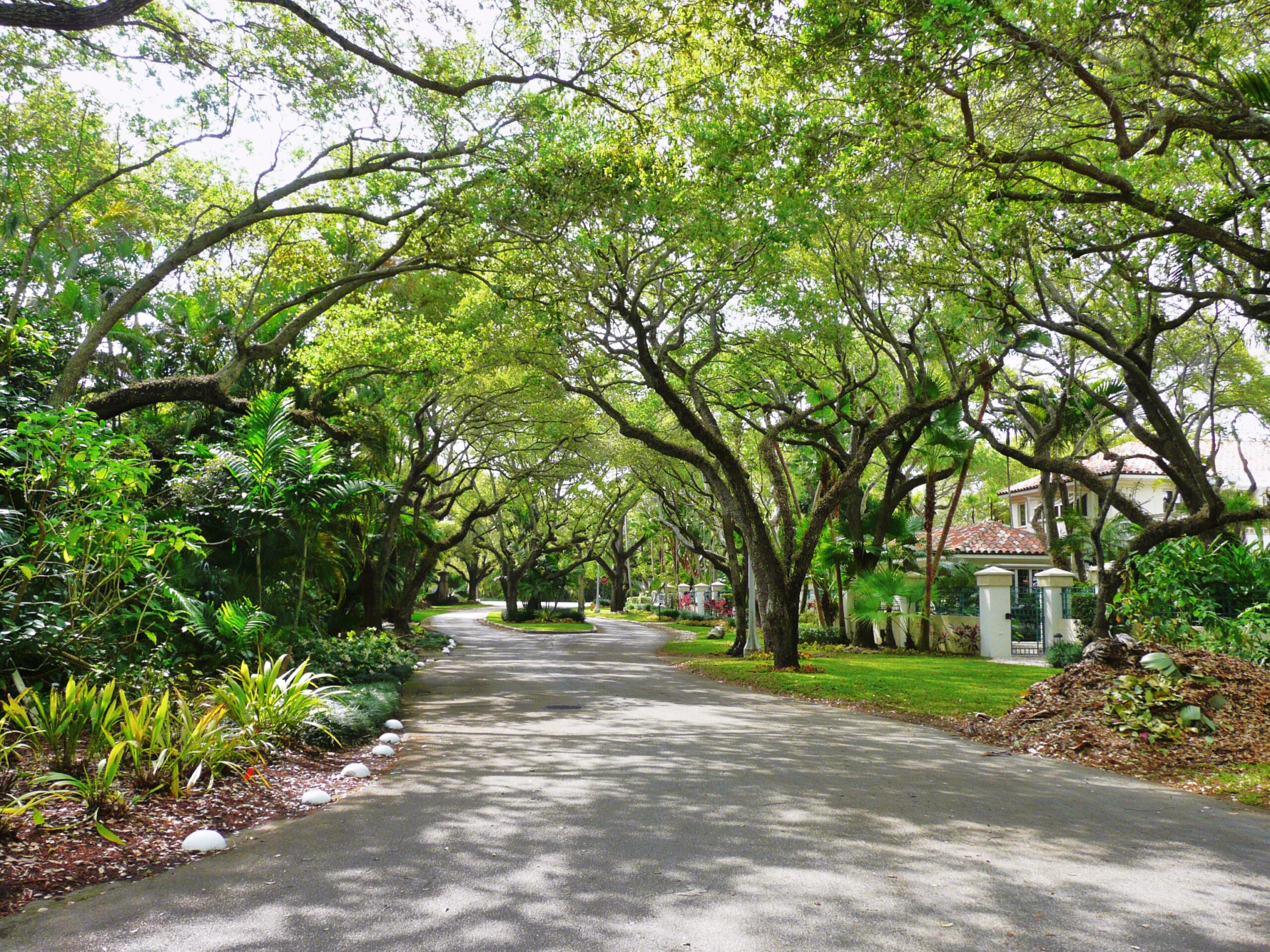 Florida’s Ritziest Neighborhoods Surpass California and New York in Real Estate Wealth Growth